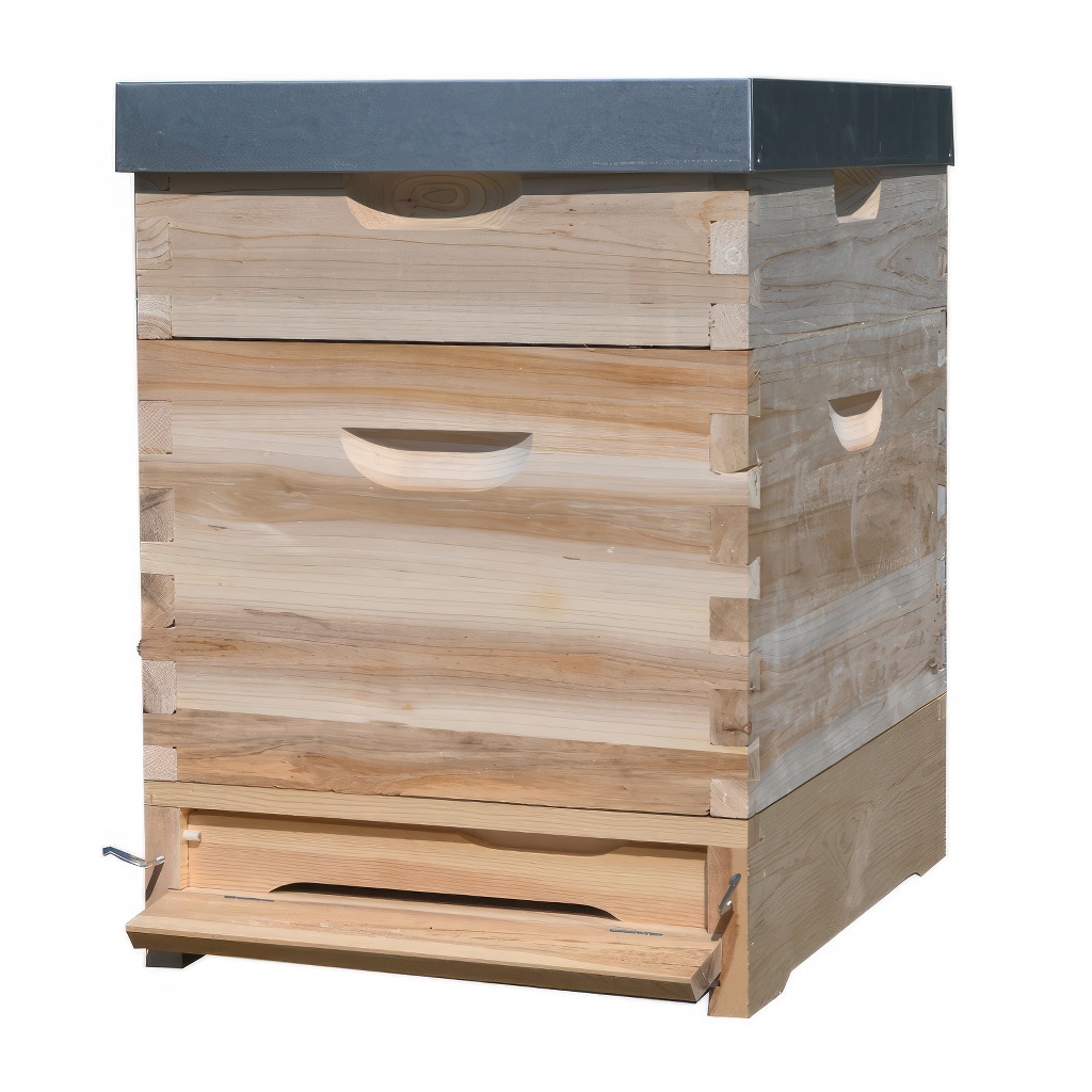 Dadant US košnica 1x (285 mm) + 1x 2/3 (159 mm) – 10 ramova – spoj na lastin rep - Image 3