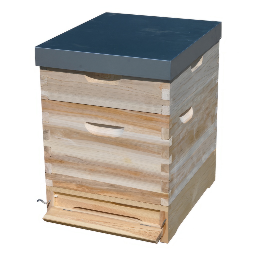 Dadant US košnica 1x (285 mm) + 1x 2/3 (159 mm) – 10 ramova – spoj na lastin rep - Image 5