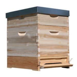 Dadant US košnica 1x (285 mm) + 1x 2/3 (159 mm) – 10 ramova – spoj na lastin rep
