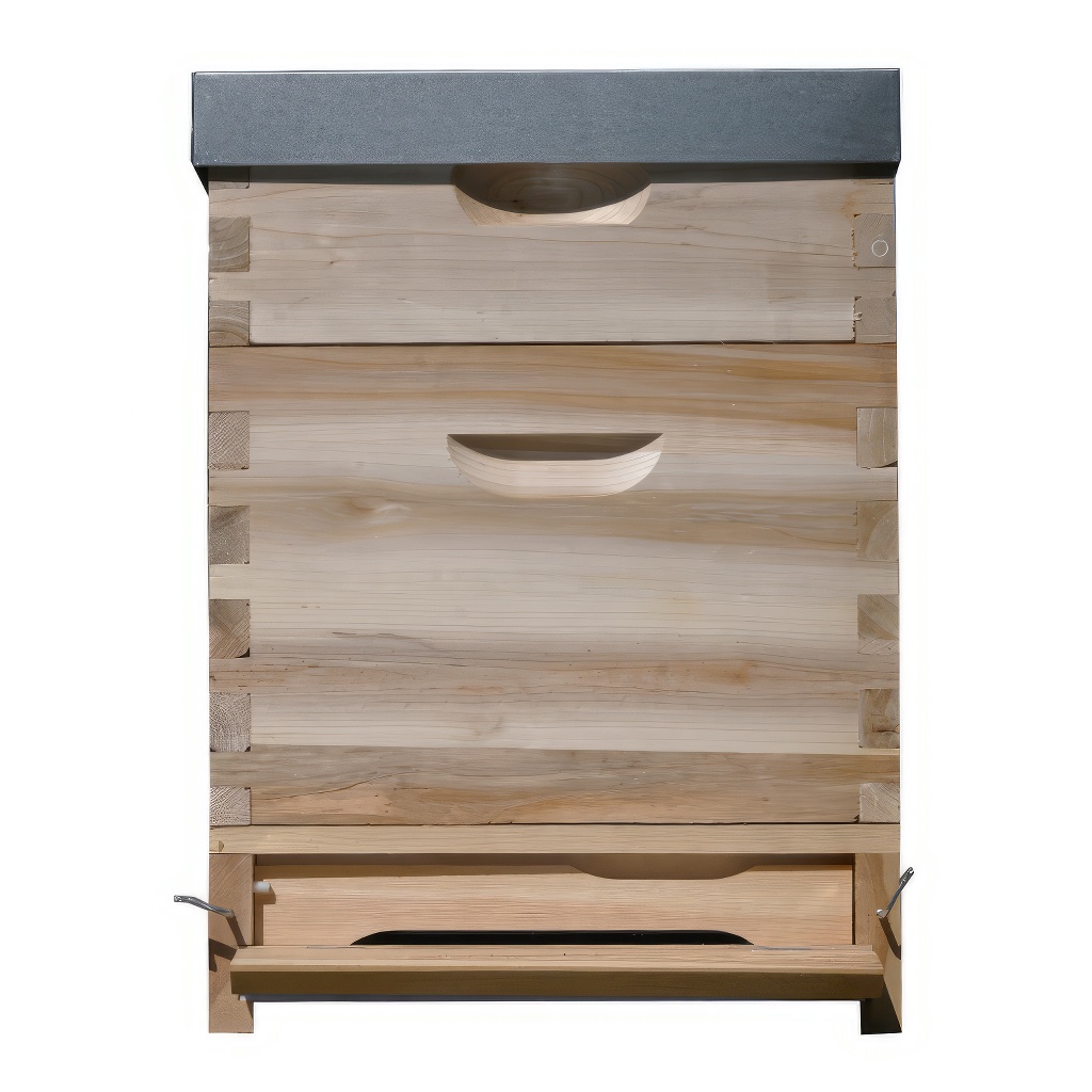 Dadant US košnica 1x (285 mm) + 1x 2/3 (159 mm) – 10 ramova – spoj na lastin rep - Image 2