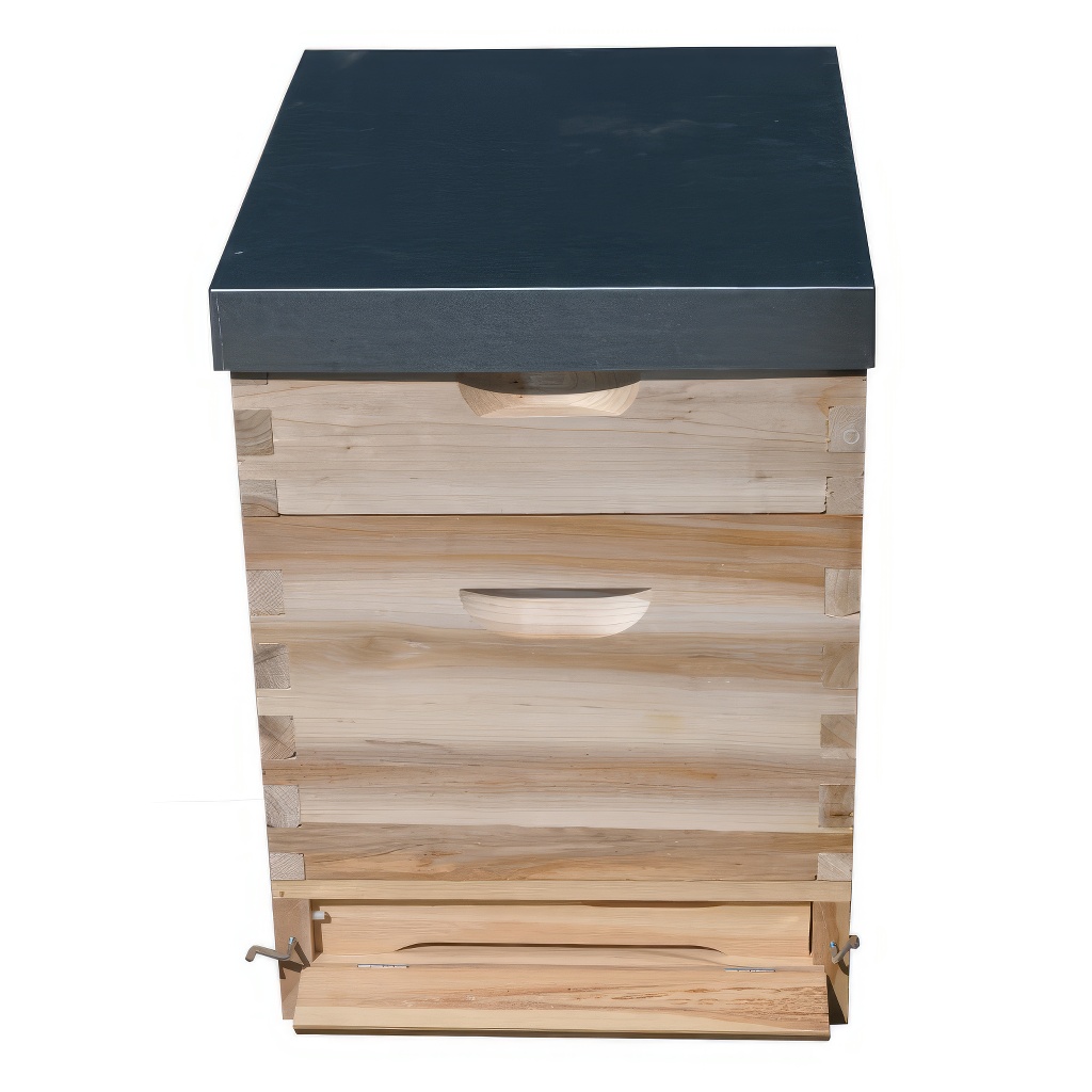 Dadant US košnica 1x (285 mm) + 1x 2/3 (159 mm) – 10 ramova – spoj na lastin rep - Image 6