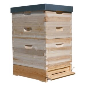 Dadant US košnica 1x (285 mm) + 2x 2/3 (159 mm) – 10 ramova – spoj na lastin rep