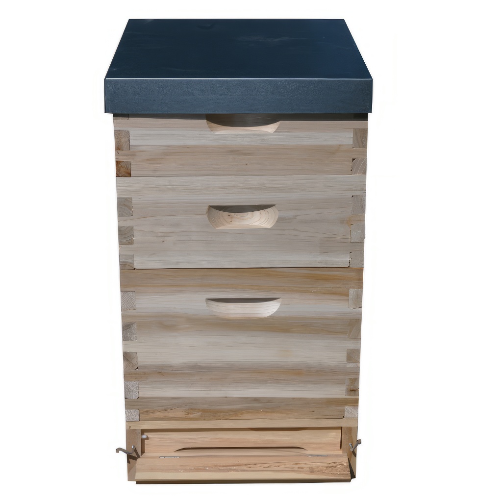 Dadant US košnica 1x (285 mm) + 2x 2/3 (159 mm) – 10 ramova – spoj na lastin rep - Image 4