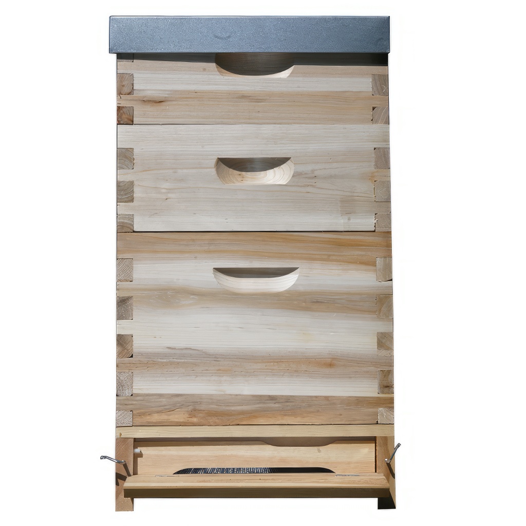 Dadant US košnica 1x (285 mm) + 2x 2/3 (159 mm) – 10 ramova – spoj na lastin rep - Image 2