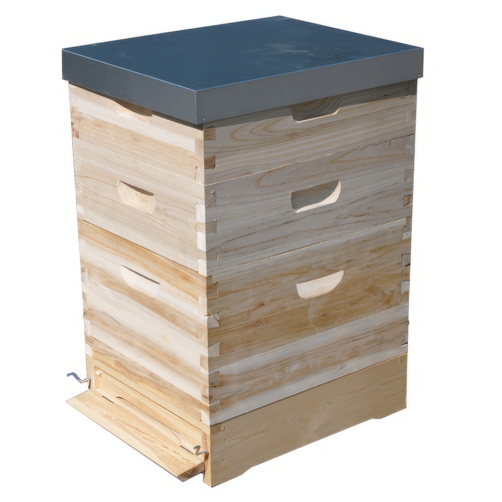 Dadant US košnica 1x (285 mm) + 2x 2/3 (159 mm) – 10 ramova – spoj na lastin rep - Image 3