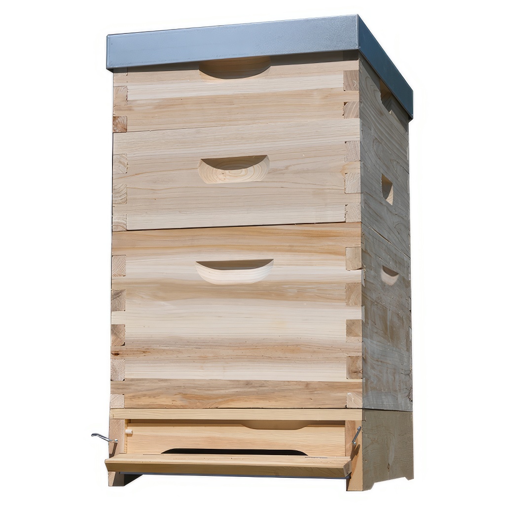 Dadant US košnica 1x (285 mm) + 2x 2/3 (159 mm) – 10 ramova – spoj na lastin rep - Image 5