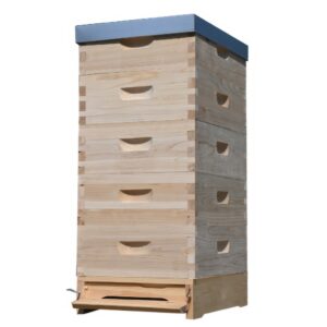 Kompletan drveni pčelinji sistem – Košnica Langstroth 5 x 2/3 (159 mm) – 10 ramova