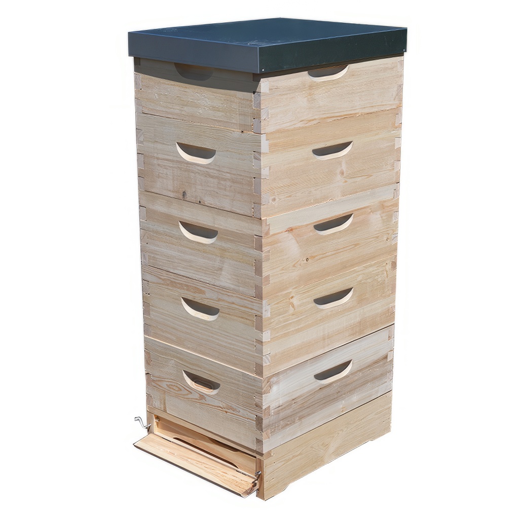 Kompletan drveni pčelinji sistem – Košnica Langstroth 5 x 1/1 (232 mm) – 10 ramova - Image 2