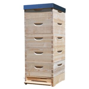 Kompletan drveni pčelinji sistem – Košnica Langstroth 5 x 1/1 (232 mm) – 10 ramova